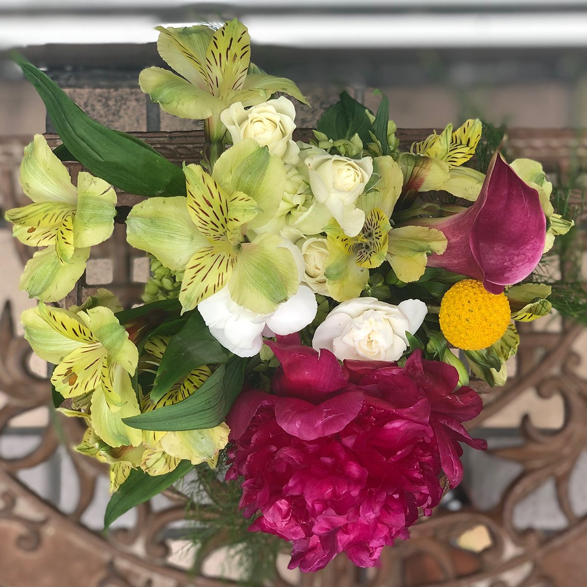 Peonies in May
