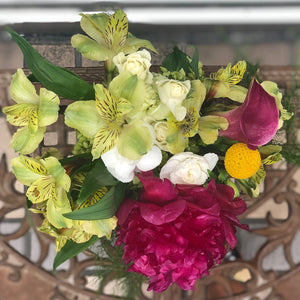 Peonies in May